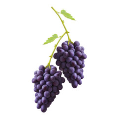 Fototapeta premium Grapes Fruit PNG Transparent