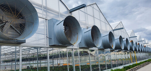  large commercial greenhouse with large venting fans, plants, garden, gardening, greenhouse,...