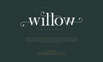 Willow premium luxury elegant alphabet letters and numbers. Vintage wedding typography classic serif font decorative vintage retro. creative vector illustration © fourmonths