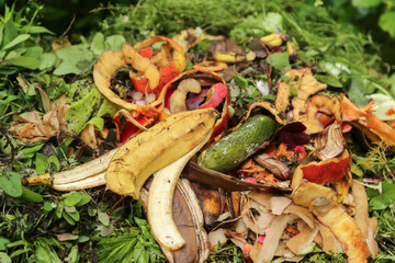 Zero waste, composting concept. Bio waste, vegetables and fruits food scraps in compost pile in garden close up
