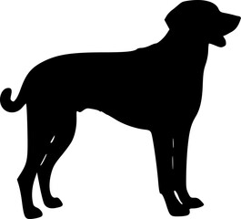 silhouette of a dog