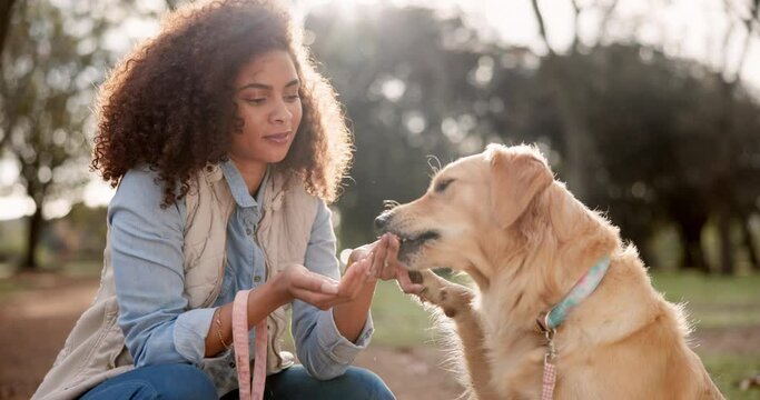Outdoor, woman and dog in park to feed, snack and bonding together as friends. Nature, pet owner and golden retriever for treats break after walking, training and fun with animal companion with leash