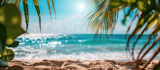 Sunny beach scene with a blurry ocean backdrop and palm leaves in the foreground.