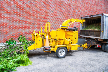 arborist company's wood chipper set up n a residential laneway ready to shred freshly cut maple...
