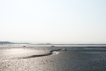 View of the wetland at the seaside