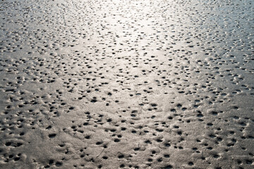 View of the wetland at the seaside