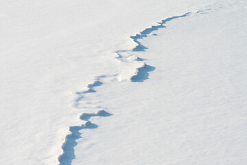 View of the frozen snow on the ground at the seaside