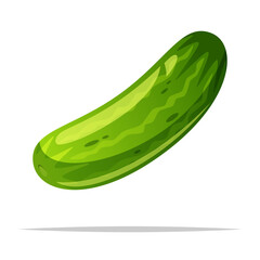 Green cucumber vector isolated illustration