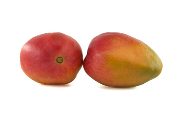 Two ripe vibrant colors mango fruits isolated on white