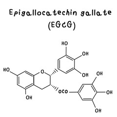 Fototapeta premium Epigallocatechin gallate chemical structure illustration