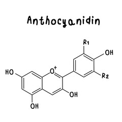 Fototapeta premium Anthocyanidin chemical structure illustration