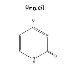 Uracil  chemical structure 