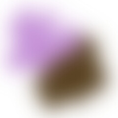 Fototapeta premium Abstract Gradient Decoration