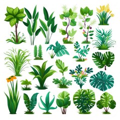 Cartoon Vector Depiction of Tropical Rainforest Flora