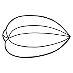 star fruit line vector illustration