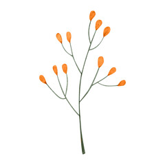 flowers painted with watercolors on white