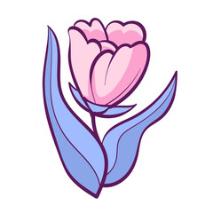 Spring flower illustration on white background