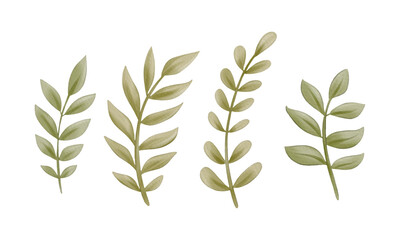  Flowers painted with watercolors set on white