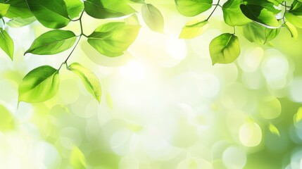 Nature abstract background with fresh spring green leaves vector illustration, featuring vibrant foliage and sunlight effects, ideal for eco-friendly designs and seasonal graphics