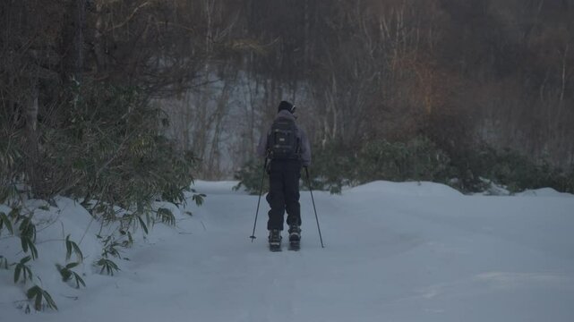 Person hiking through snowy forest with splitboard in Hokkaido, Japan