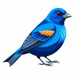 Obraz premium blue bird isolated