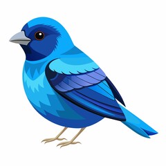 Obraz premium blue bird isolated