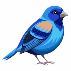 Obraz premium blue bird isolated