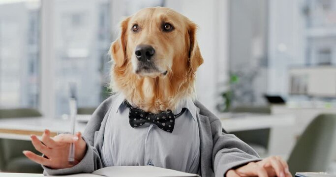 Office, business and dog thinking with pen for writing ideas, vision and strategy on diary or notebook. Comic, mimic and animal or pet in suit at workplace for report, planning and proposal in desk