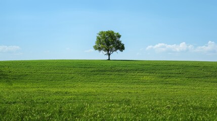 Obraz premium a lone tree standing proudly amidst a vast expanse of lush green grass meadow.