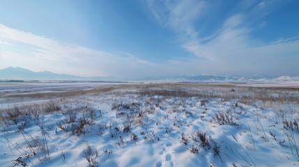 A serene and peaceful panoramic shot of a snowy meadow, with a gentle breeze and distant peaks.
