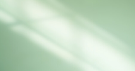 Green Shadow Abstract Background Overlay Leaf Natural blur Cement Wall Floor Beige Mockup Product...
