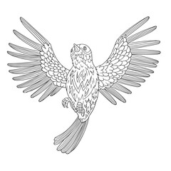 Flying bird with ornamental feathers. Coloring book page for adult with doodle and zentangle elements. Vector hand drawn isolated.