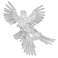 Two exotic birds with ornamental feathers on isolated background. Coloring book page for adult antistress with doodle and zentangle elements. Vector line hand drawn illustration.
