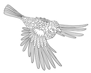 Flying parrot with ornamental feathers. Coloring book page for adult antistress with doodle and zentangle elements. Vector hand drawn isolated.