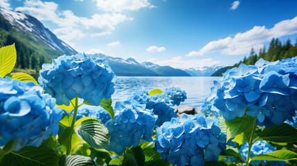 Emerald Isles: Panoramic View of Azores Lakes with Vibrant Hydrangeas