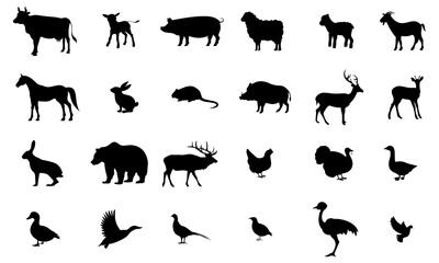 Vector solid icon, animals. Cow, calf, pig, sheep, lamb, goat, horse, rabbit, nutria, boar, deer, roe deer, hare, bear, elk, chicken, turkey, goose, duck, mallard, pheasant, partridge, ostrich, dove.