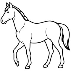 vector illustration of a horse