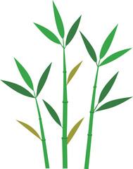 Obraz premium Green Thin Bamboo Stems with Leaves Illustration