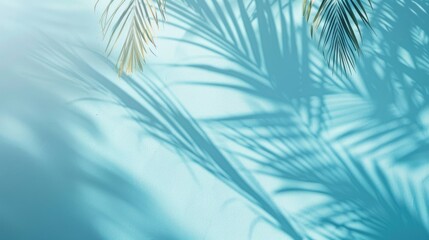 Obraz premium Blurry palm leaf shadows on a light blue wall Simple abstract backdrop for showcasing products Spring and summer vibes