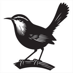 Carolina Wren bird vector art illustration