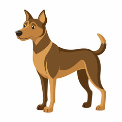 dog isolated on white