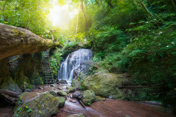 Beauty in nature, amazing waterfall in tropical forest of national park, Thailand	