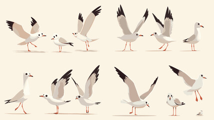 Fototapeta premium set of birds