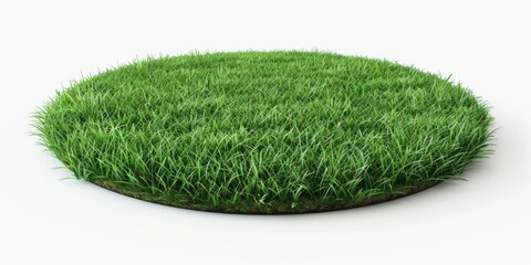 A green grassy area with a white background