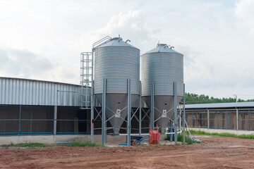Large modern metal silos storing grain for animal feed at a chicken farm © Naypong Studio