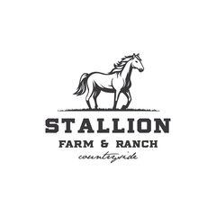 black Horse Stallion  Countryside western country farm ranch logo design