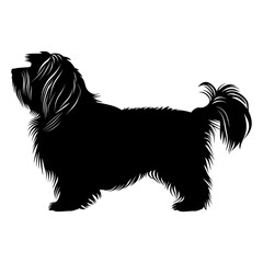 Havanese Purebred Dog Silhouette Icon