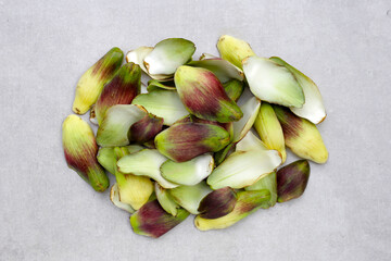 Fresh green purple artichoke petals