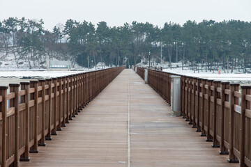 Obraz premium View of the footpath on the wooden bridge at the seaside