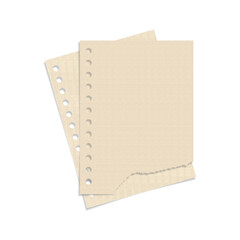 PAPER 30, two blank old torn paper stacked on a transparent background for brand identity mockup